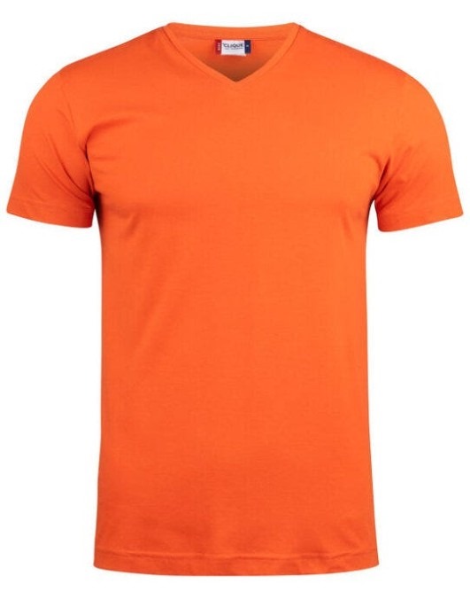 Basic-T V Neck
